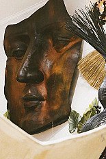 NUEVOS INGRESOS 2026