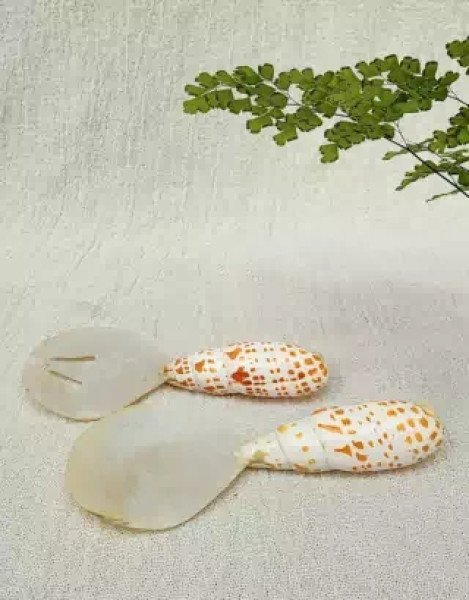 JUEGO DE CUCHARA Y TENEDOR MARINO 18CM