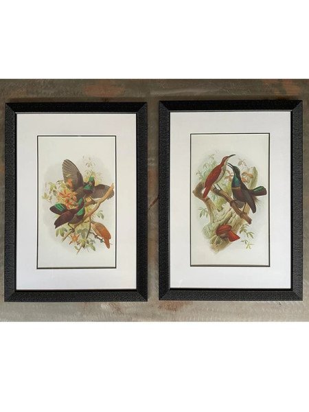 SET X2 CUADROS 70X50