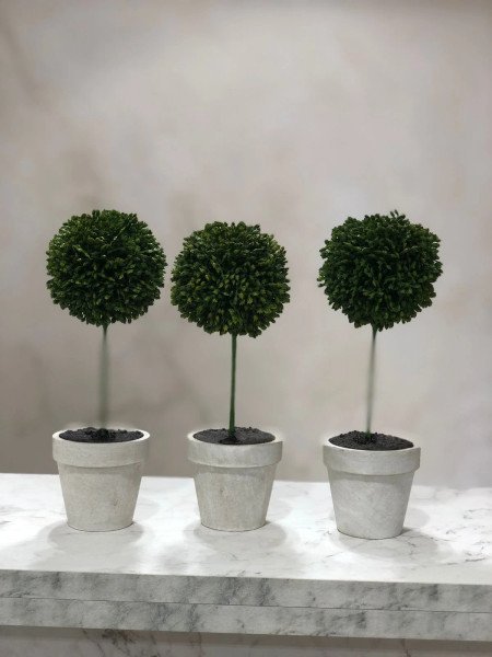 BOX X3 TOPIARIOS 21 CM