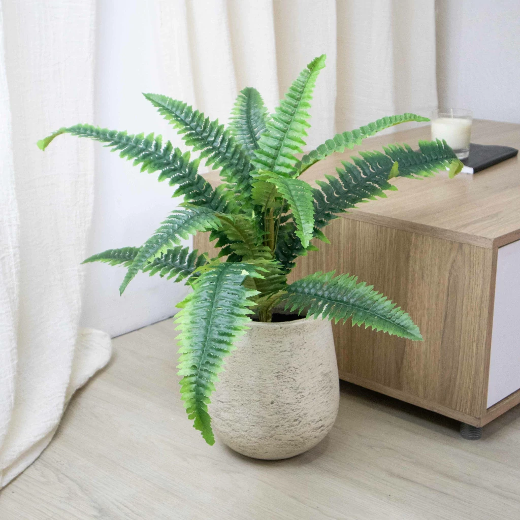 HELECHO BOSTON PLANTA C/MACETA 50 CM