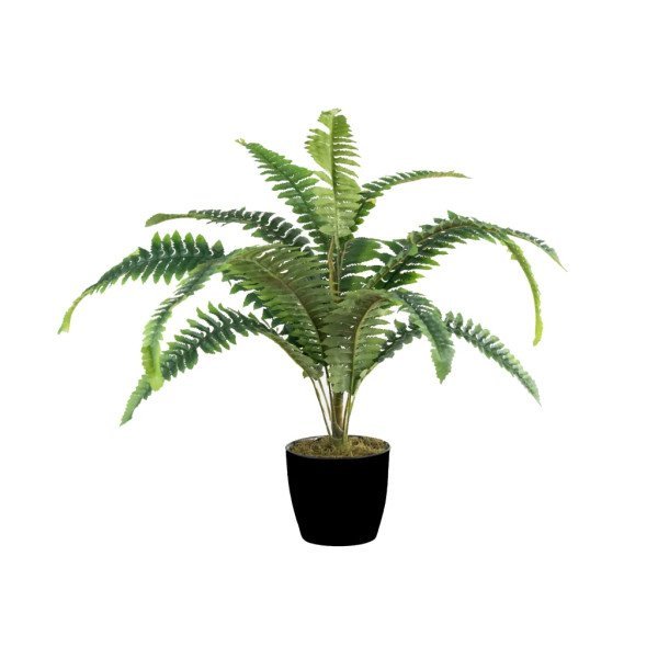 HELECHO BOSTON PLANTA C/MACETA 50 CM