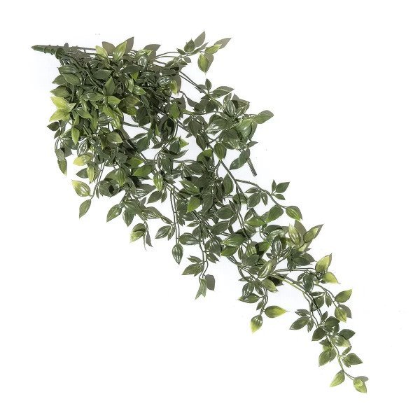 PLANTA COLGANTE COLA DE ZORRO 55cm