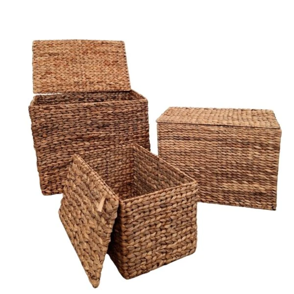 SET X3 BAULES SEAGRASS 43/47/50 CM