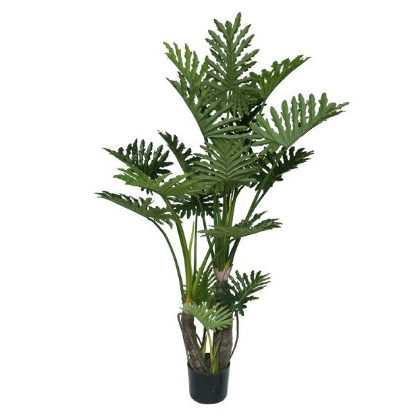 PLANTA PHILODENDRON 180CM GUAMBE