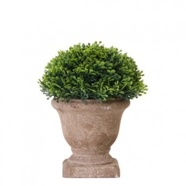 TOPIARIO C/MACETA 15 CM