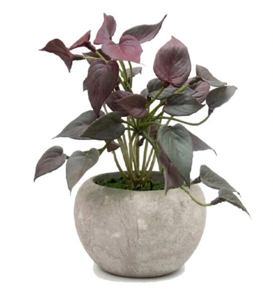 PLANTA C/MACETA BORGO