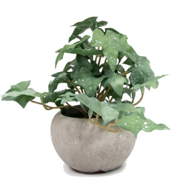 PLANTA C/MACETA SERENA